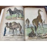 Victorian book of hand coloured engravings - The Instructive Picture book, together with a series of