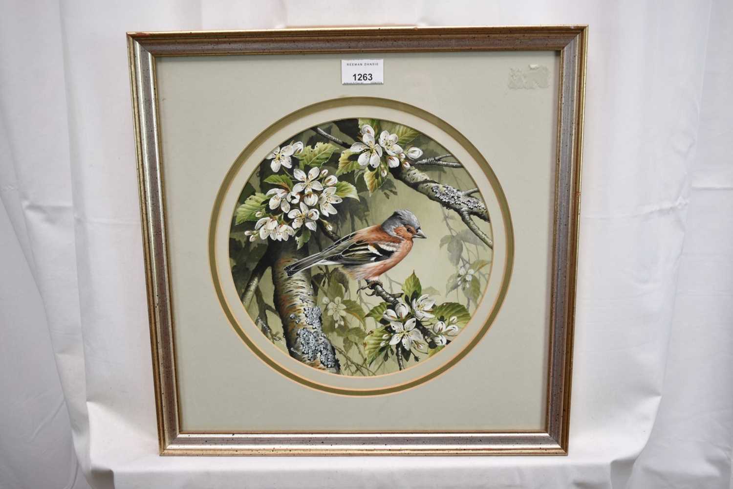 Terence James Bond (1946-2023) pair of watercolours - Kingfisher and Chaffinch, signed, 25.5cm tondo - Image 2 of 10