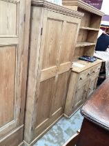 Antique pine cupboard enclosed by panelled door