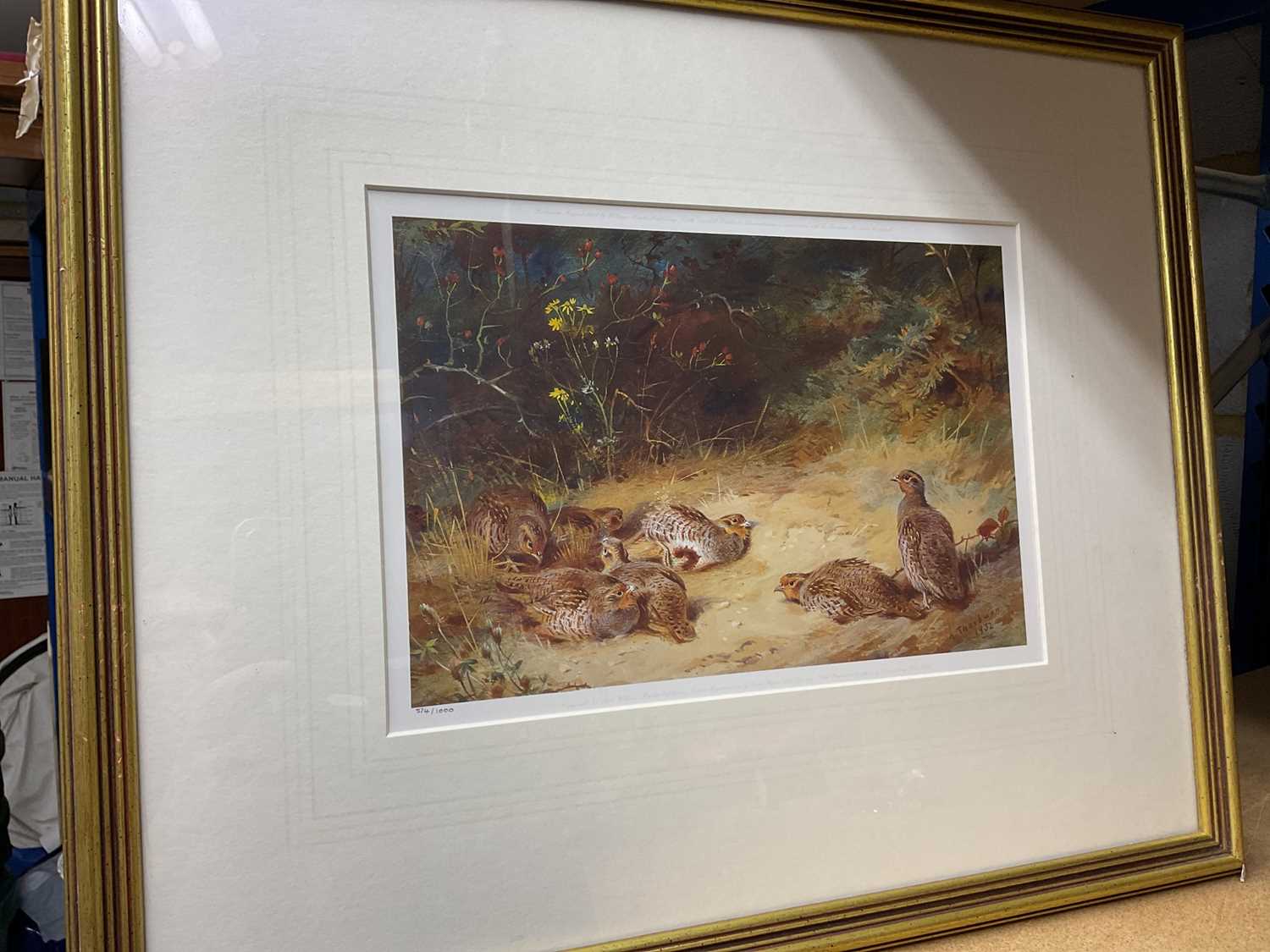 Set of four framed Archibald Thorburn prints, published by William Marler in editions of 1000 each - Image 4 of 5