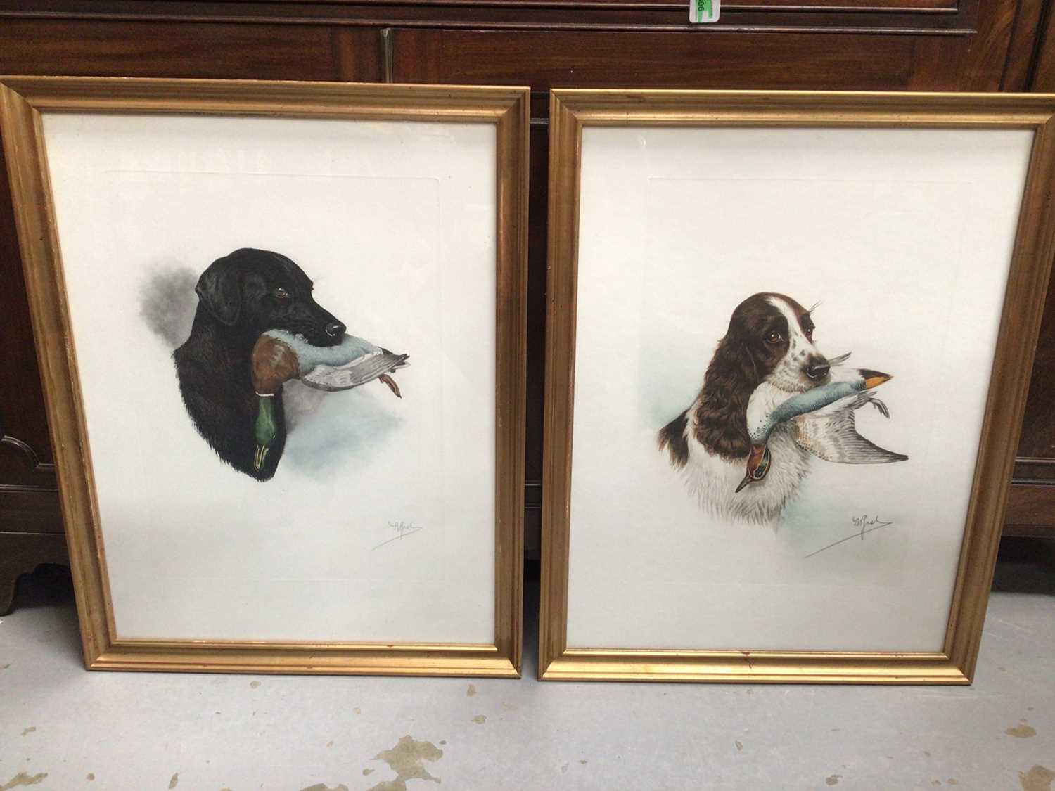 Pair of hunting dog prints, signed, in glazed gilt frames