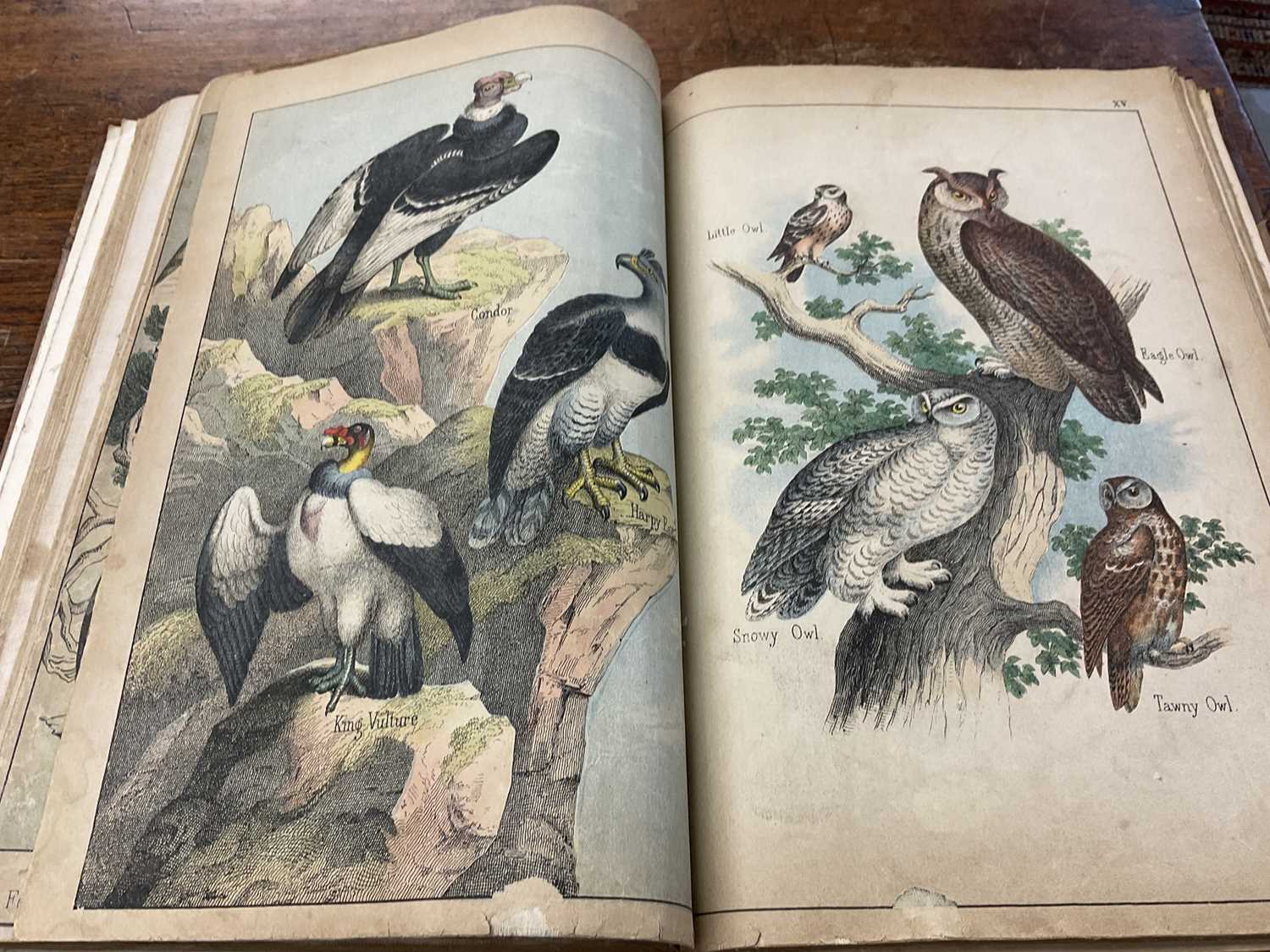 Victorian book of hand coloured engravings - The Instructive Picture book, together with a series of - Image 9 of 11