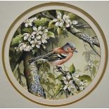 Terence James Bond (1946-2023) pair of watercolours - Kingfisher and Chaffinch, signed, 25.5cm tondo