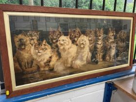 Large Louis Wain print of a dozen miaowing cats, 97.5cm x 40.5cm