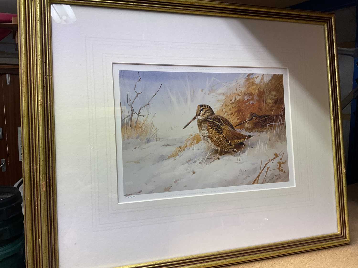 Set of four framed Archibald Thorburn prints, published by William Marler in editions of 1000 each - Image 3 of 5