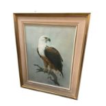 Charles Clifford Turner, watercolour - Otters and a watercolour of a bald eagle, by Rena