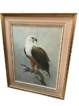 Charles Clifford Turner, watercolour - Otters and a watercolour of a bald eagle, by Rena