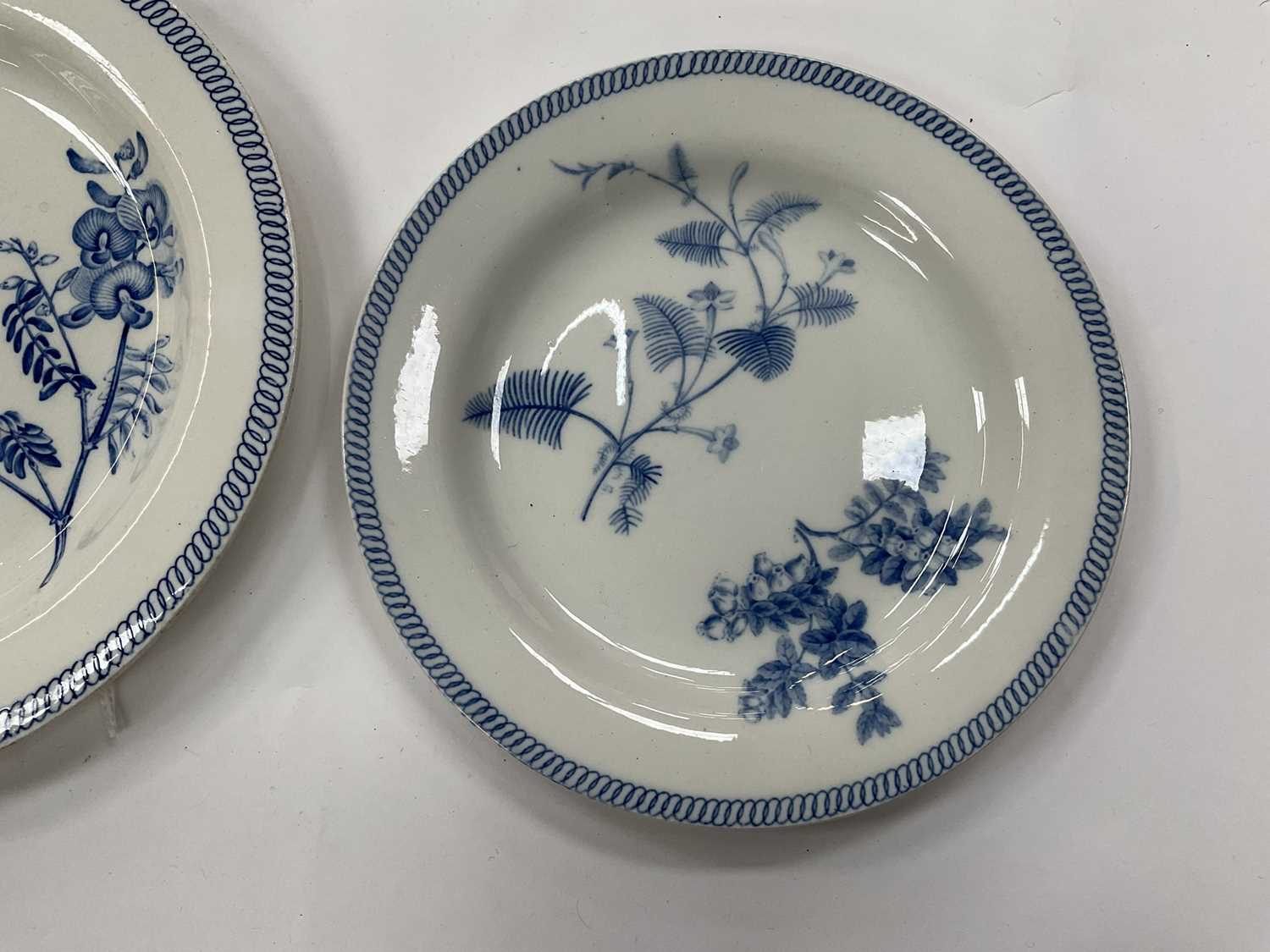 Pair of Wedgwood pearlware blue printed botanical plates, and a similar larger plate - Image 3 of 6