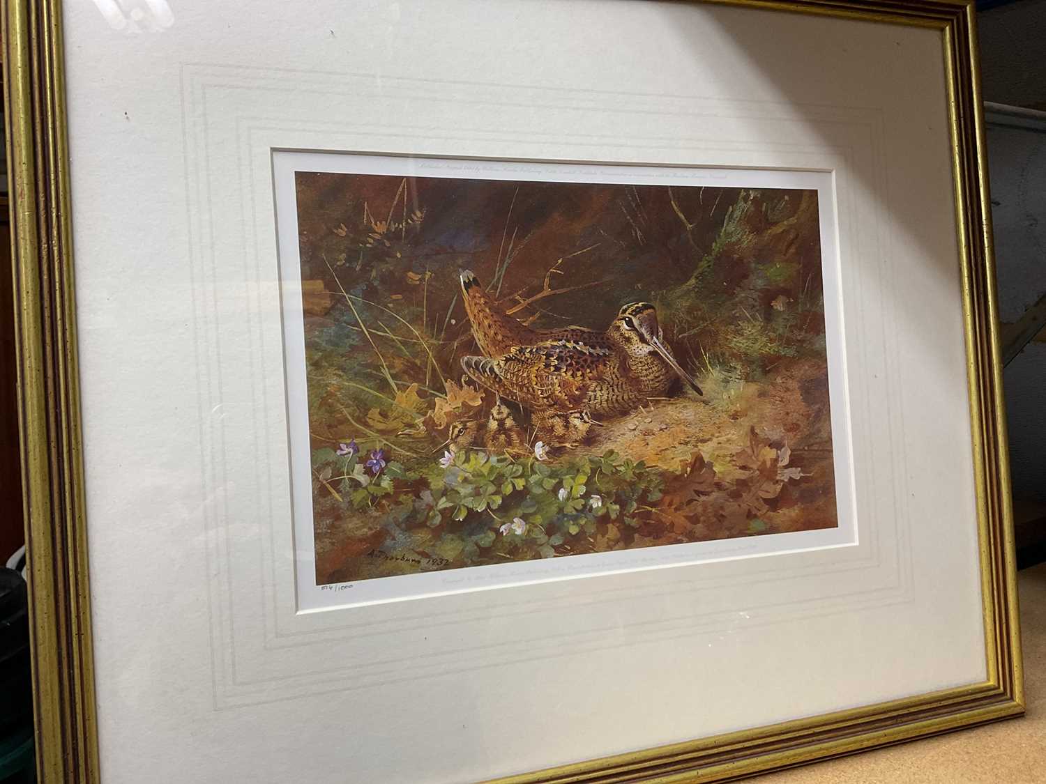 Set of four framed Archibald Thorburn prints, published by William Marler in editions of 1000 each - Image 5 of 5