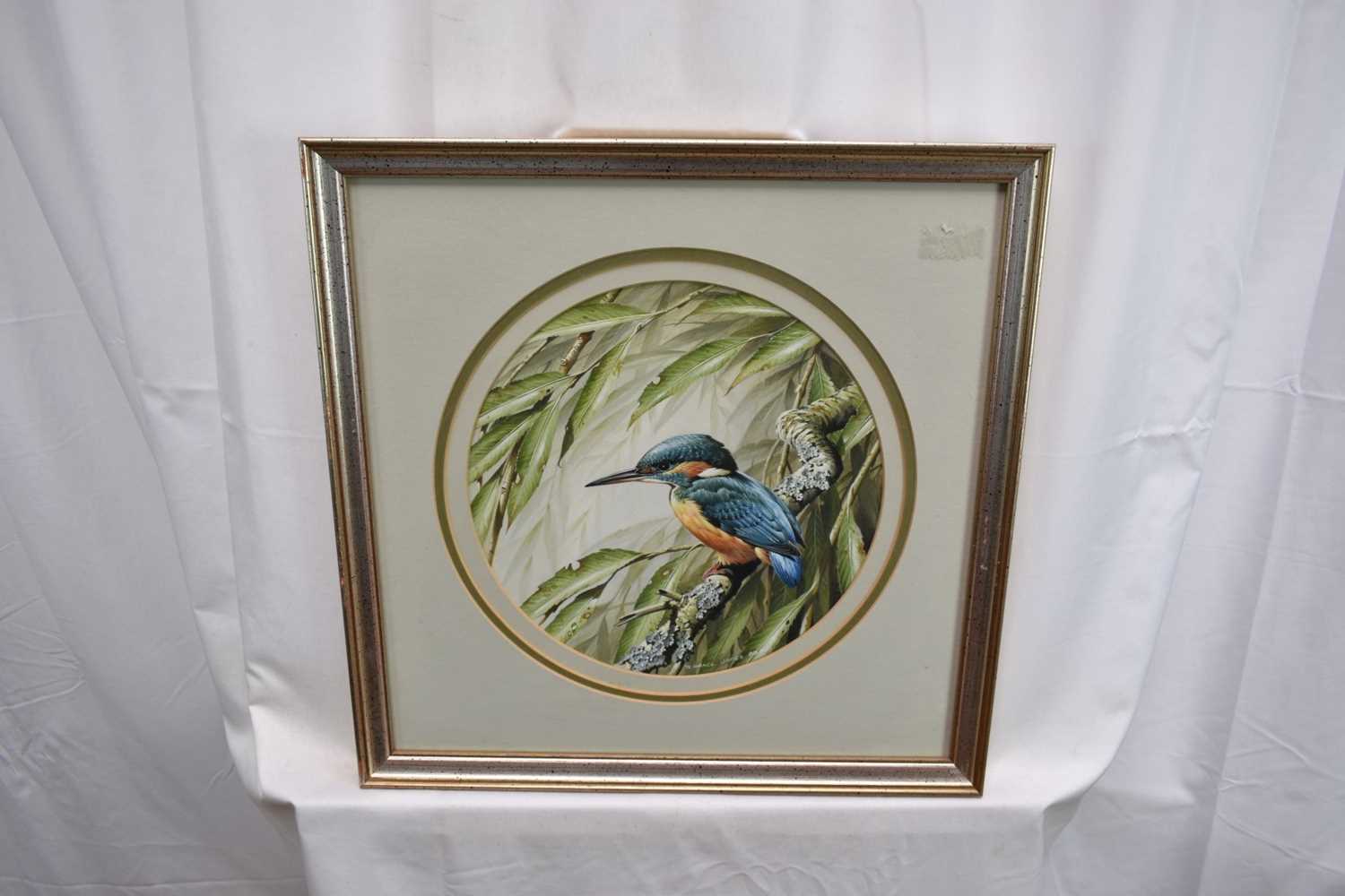 Terence James Bond (1946-2023) pair of watercolours - Kingfisher and Chaffinch, signed, 25.5cm tondo - Image 7 of 10
