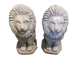 Pair of grey painted concrete garden statues of lions, 50cm high