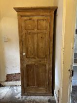 Antique pine hall cupboard with panelled door