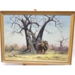 Baxter, 1978 oil on canvas - an African elephant beneath a tree, signed and dated, 57cm x 82cm, in g