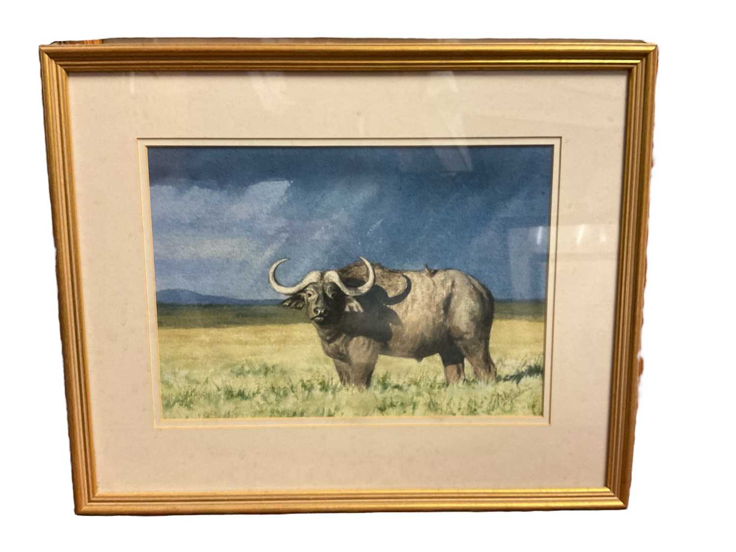 Katy Sodgan (contemporary) watercolour, set of four African wildlife scenes, signed, glazed frames - Image 4 of 4