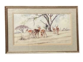 Alan Carter (b. 1909) watercolour - Ibex, signed, 42 x 73cm, glazed frame