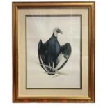 Malcolm Ellis (contemporary) watercolour - Vulture, signed, 40 x 30cm, glazed frame