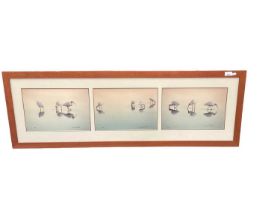 Triptych of signed limited edition photographs framed as one