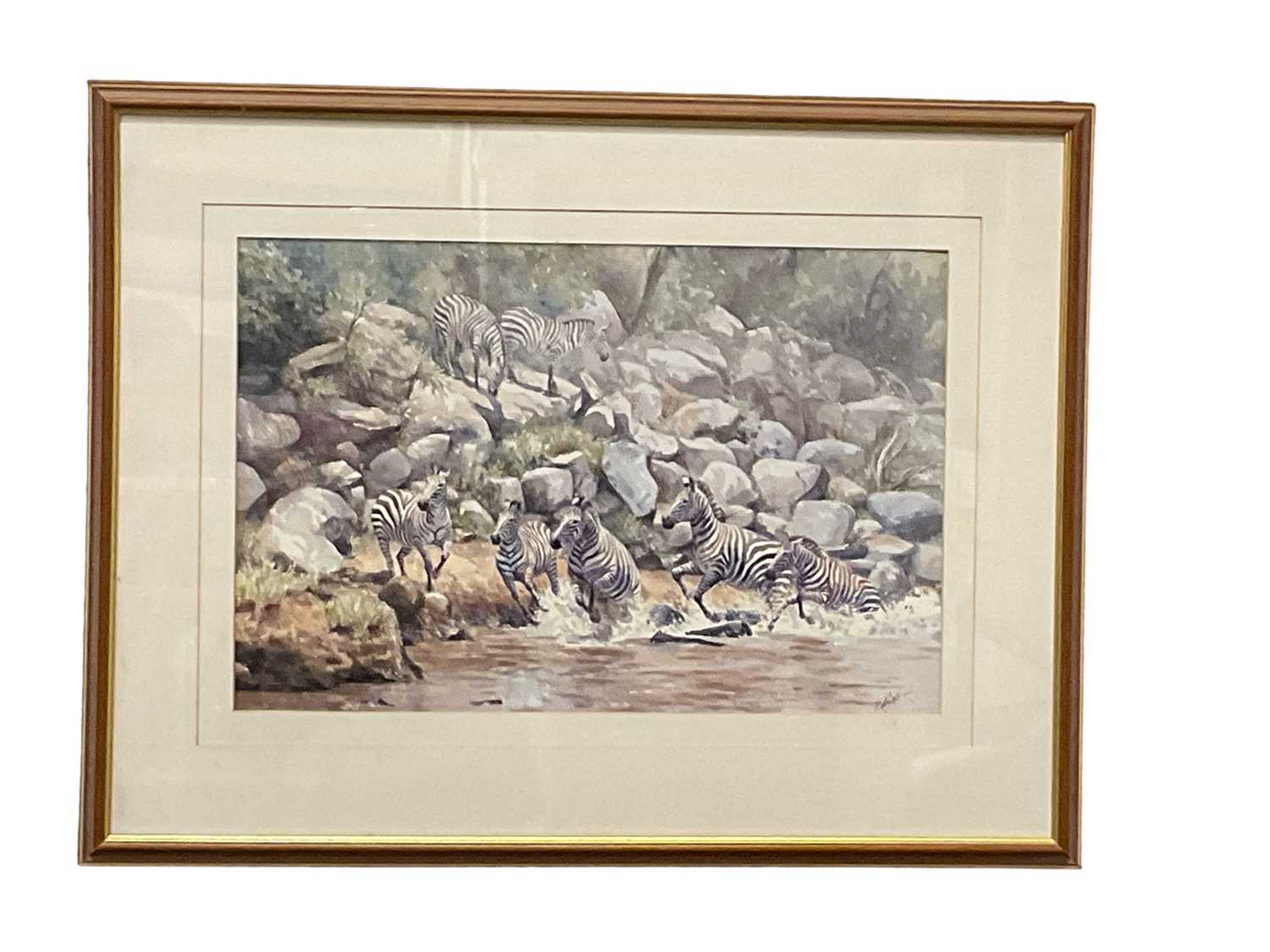 Katy Sogden (contemporary) watercolour - Zebra at a watering hole, 34 x 51cm, glazed frame