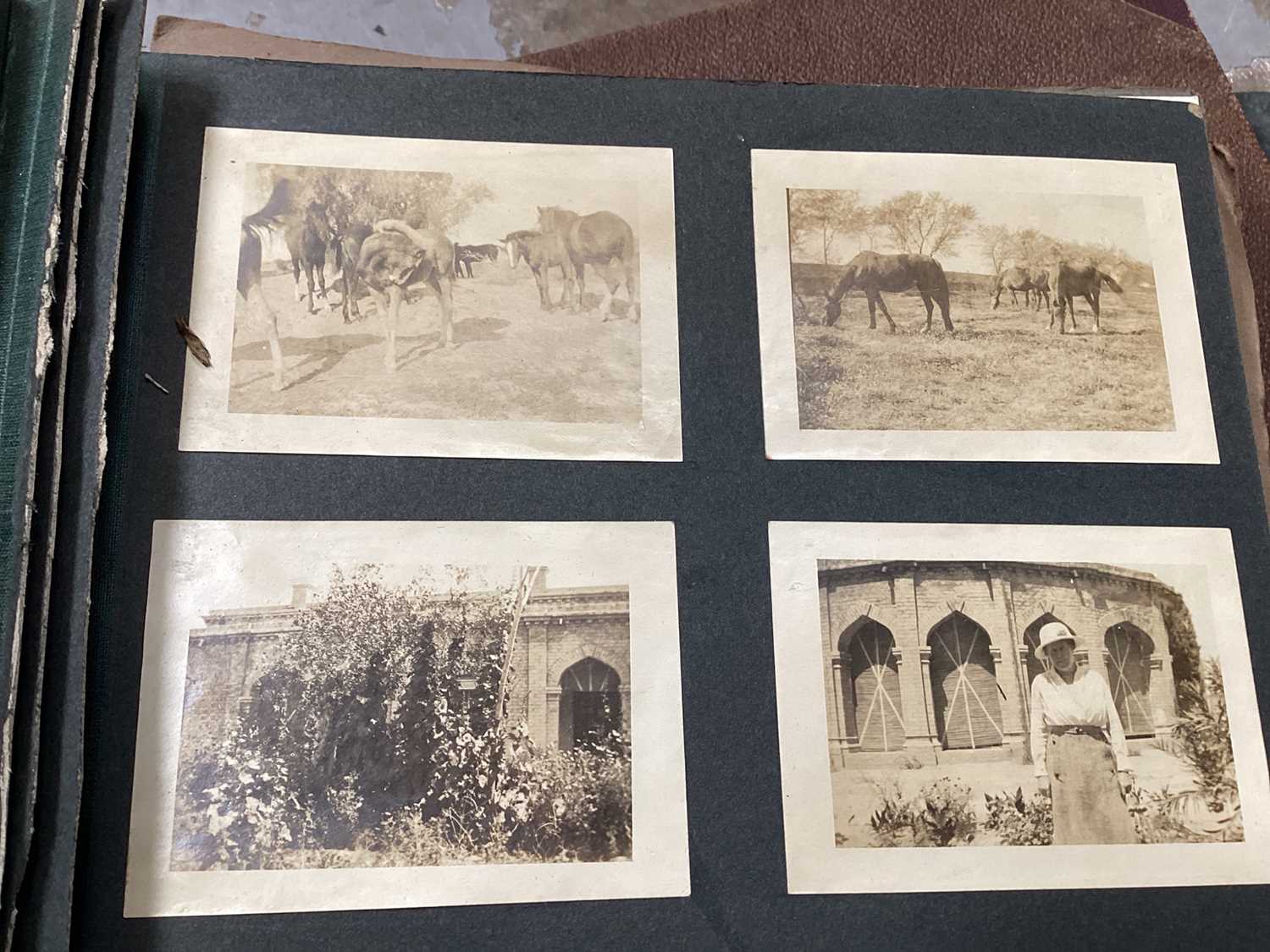 Five boxes of mixed ephemera to include photograph albums. - Image 10 of 19