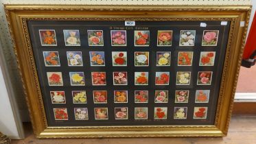 An ornate gilt framed set of large format Wills's 'Roses' series cigarette cards