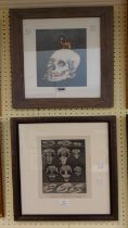 Three assorted framed prints, all depicting skulls