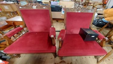 A pair of Edwardian stained wood part show frame panel back armchairs with red velour upholstery,