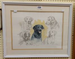 Andrew Miller: a framed watercolour with surrounding sketches, depicting various dogs and