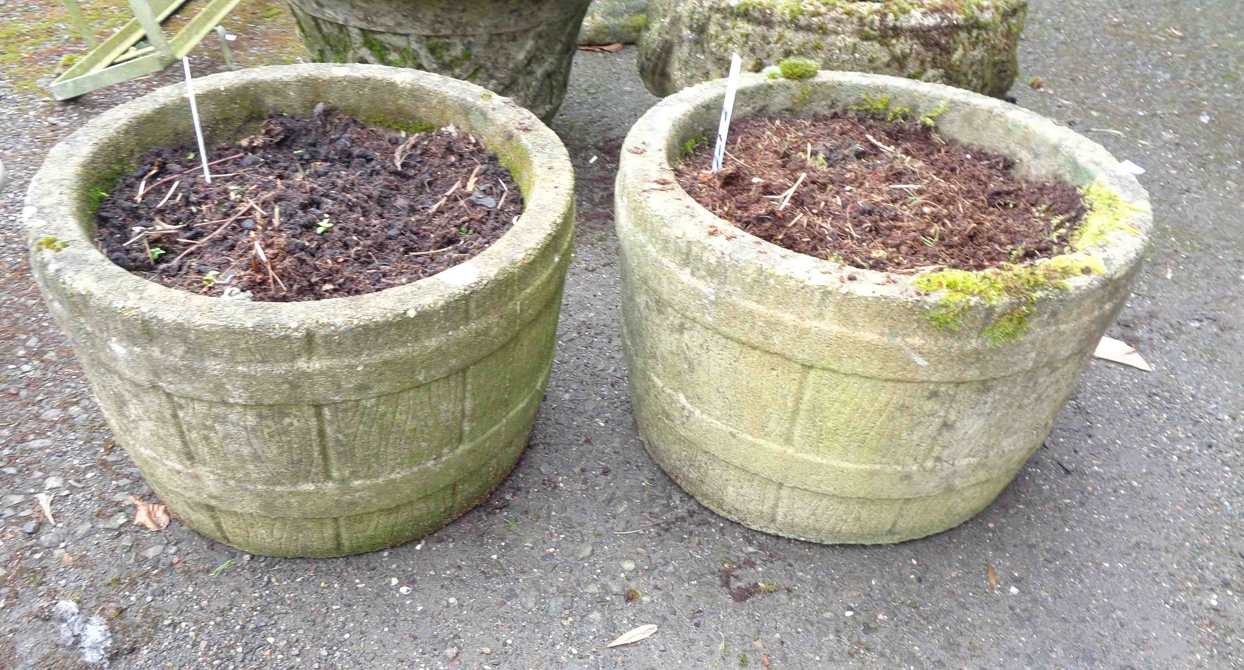 A pair of 36cm diameter concrete planters of barrel form