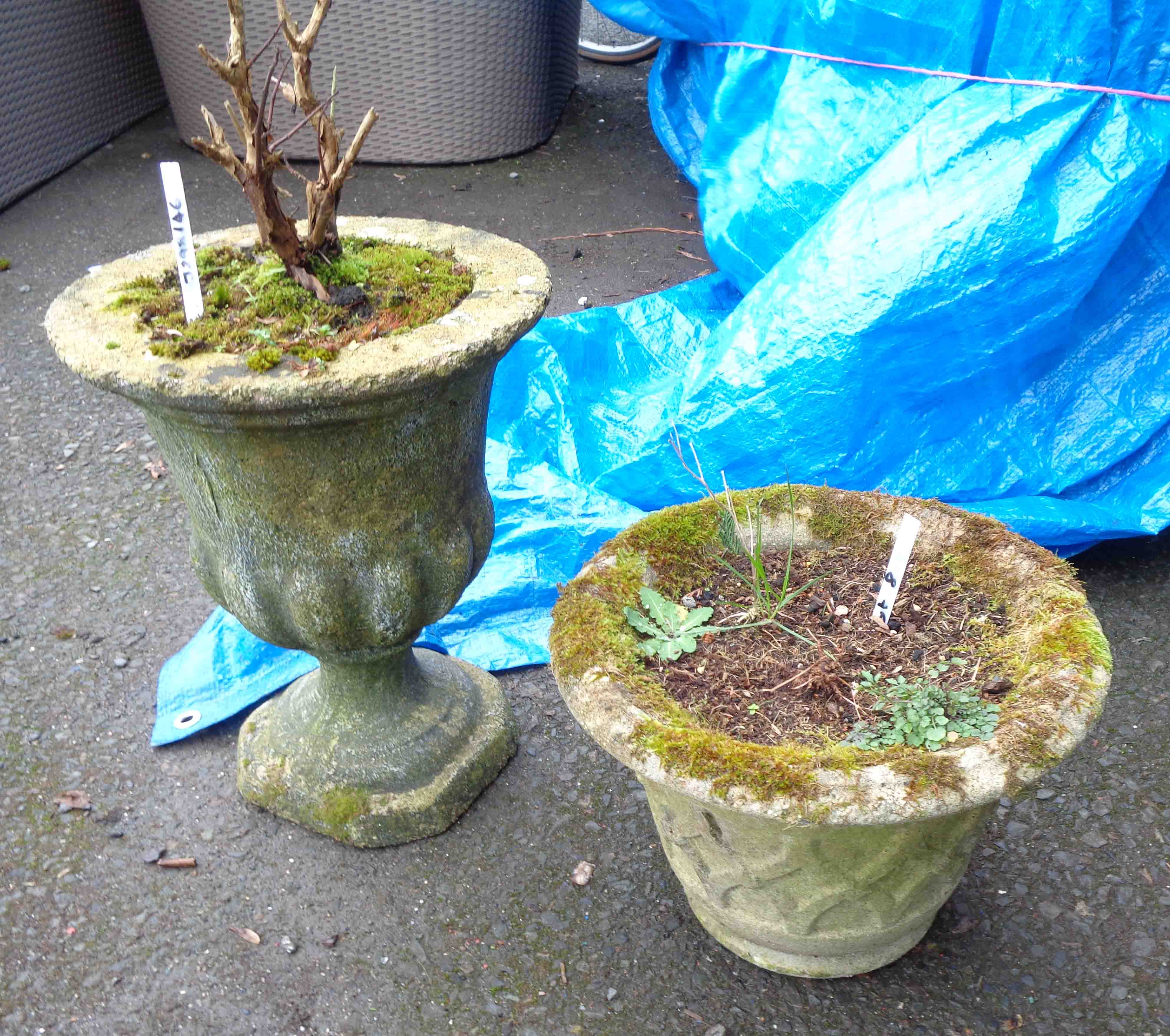 A small concrete pedestal urn - sold with a small concrete planter