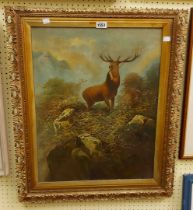 An ornate gilt framed antique oil on card in the style of 'The Monarch of the Glen' (Edwin Landseer)