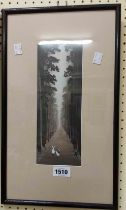 A framed Japanese narrow format watercolour, depicting two white rabbits on a tree lined forest
