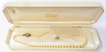 A cased Lotus simulated pearl single string necklace - sold with a pair of small cultured pearl stud