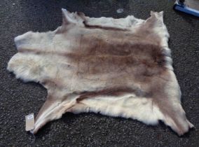 A modern reindeer skin rug by Natures Collection - 1.4m X 1.1m