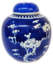 An antique Chinese porcelain ginger jar and lid with blue painted prunus decoration
