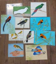 Amy Twinning: a collection of ten loose watercolour bird studies dating from 1945-1969 - most signed