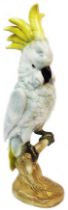 A large Royal Dux porcelain figurine, depicting a cockatoo seated on a tree branch