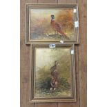 Mike Nance: two gilt framed oils on board, one depicting a rabbit, the other a pheasant - both