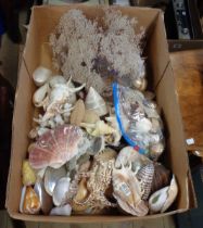 Two boxes and a crate containing a large quantity of vintage shells