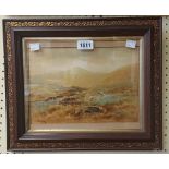 A. Birbeck: an ornate framed watercolour, depicting sheep in a moorland setting - signed - 19cm X