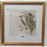 Tony Cook: a gilt framed watercolour, depicting a woodpecker - signed