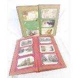 Two albums containing collections of early 20th Century and other postcards including topographic,