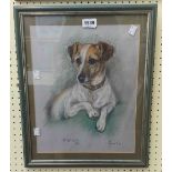 †Marjorie Cox: a mixed media portrait of 'Niblick' the Jack Russell terrier - signed and dated