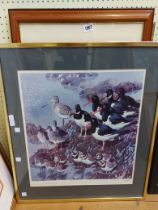Charles Tunnicliffe: two framed coloured prints, one depicting badgers, the other oystercatchers -