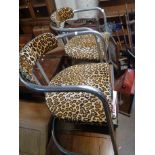 A pair of retro tubular metal framed chairs with leopard print upholstery