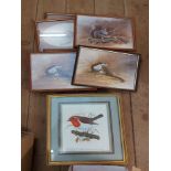 A box containing a selection of framed small format coloured animal and bird study prints