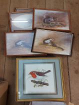 A box containing a selection of framed small format coloured animal and bird study prints