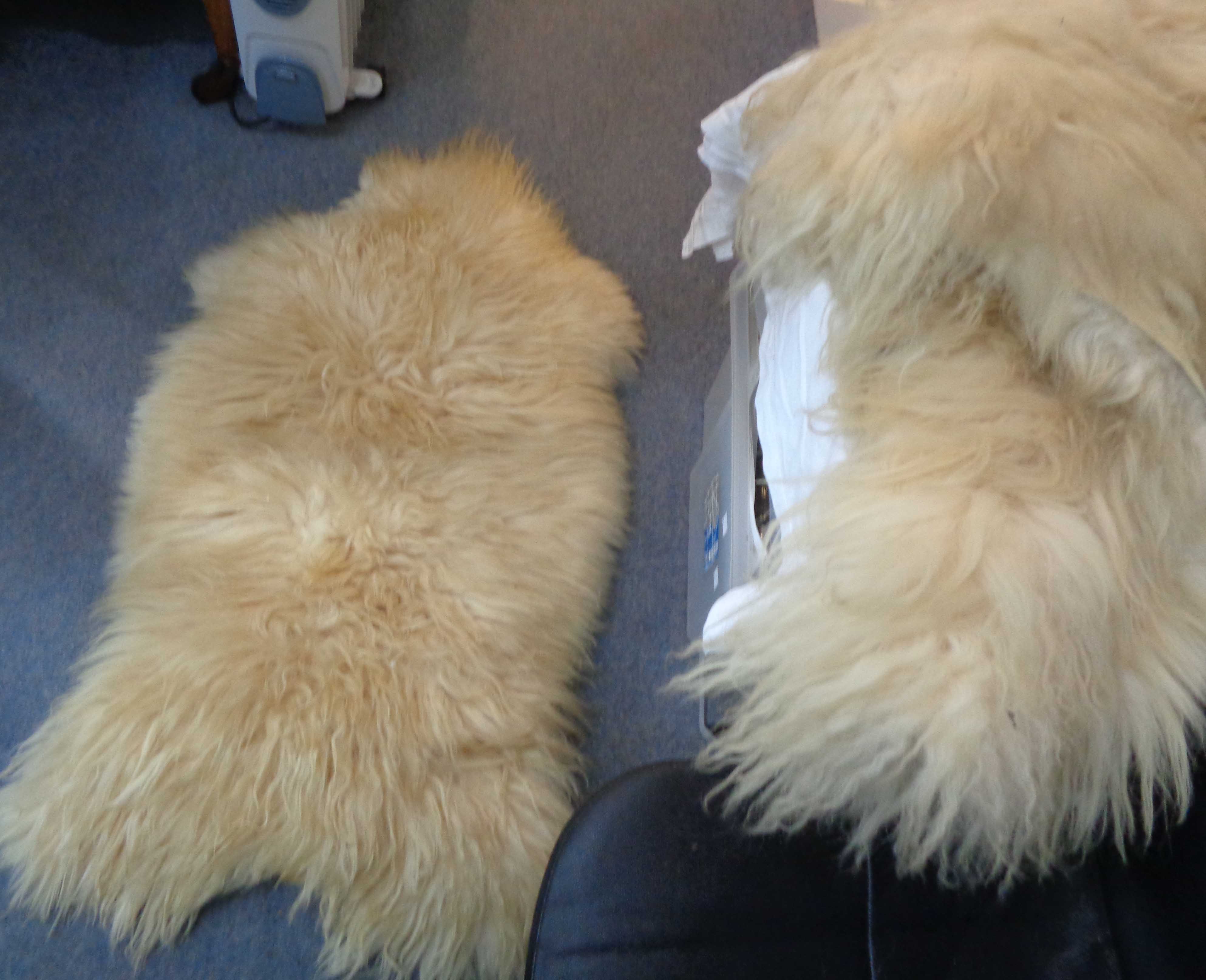 Two vintage sheep skin rugs