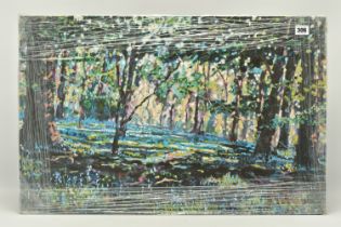 TIMMY MALLETT (BRITISH CONTEMPORARY) 'BLUEBELL SHADOWS', limited edition box canvas print of a