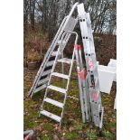 AN ALUMINIUM DOUBLE EXTENSION LADDER with 7 rungs to each 195cm length, four step ladders and a