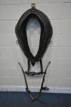 A LARGE LEATHER HORSE COLLAR, width 66cm x height 90cm, along with a pair of brass horse hames (